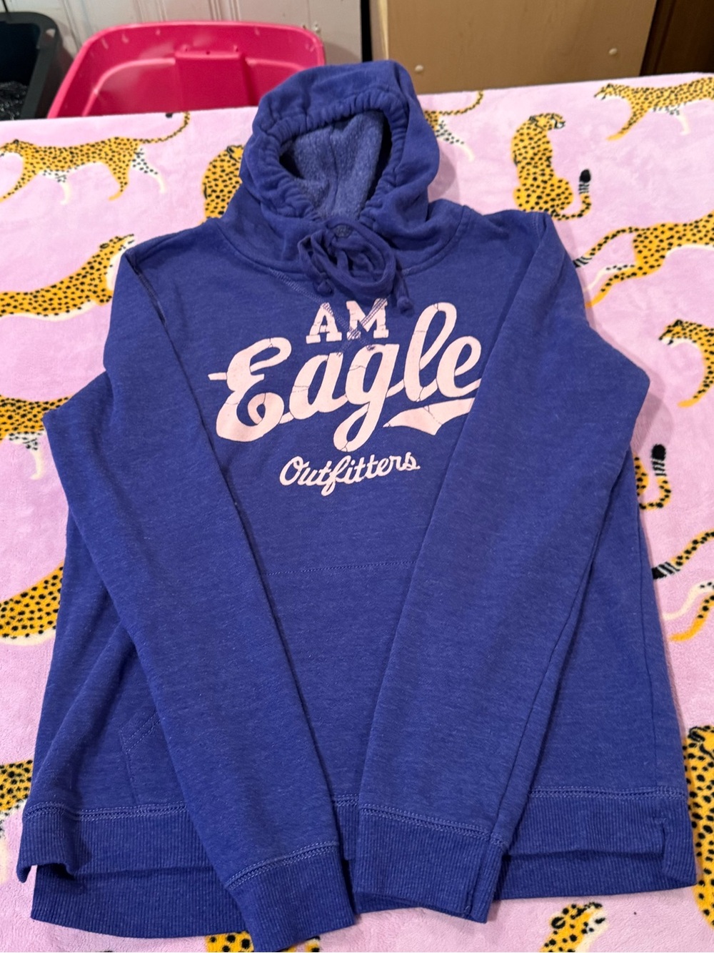 American Eagle Outfitters Blue Fall hoodie